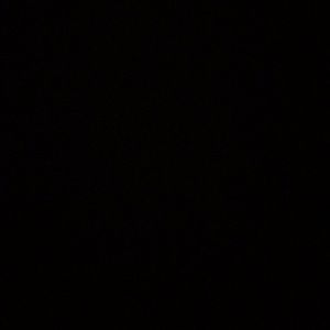 Meet your Posher, Arlene